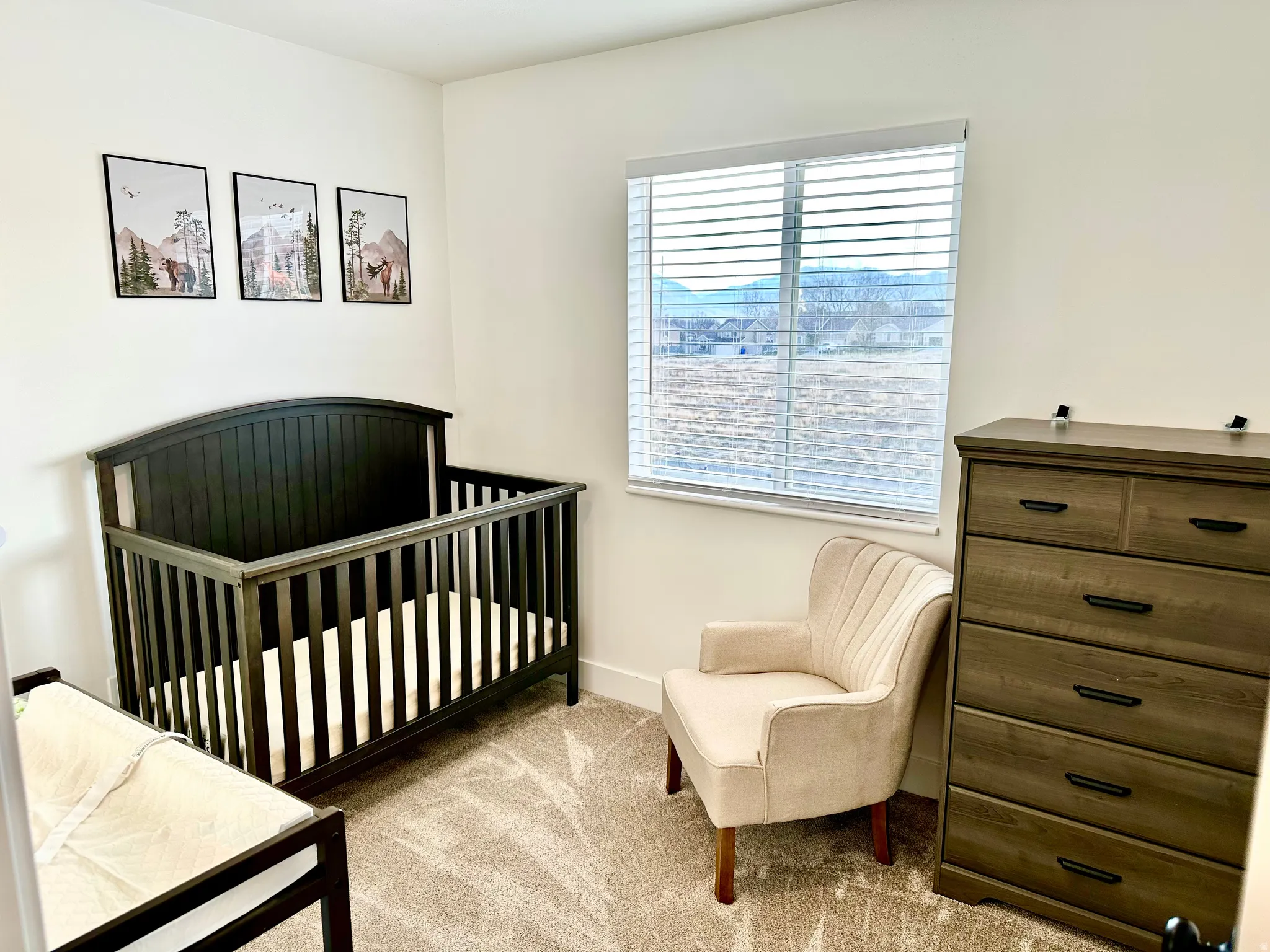 Carpeted room with a large window featuring horizontal blinds
