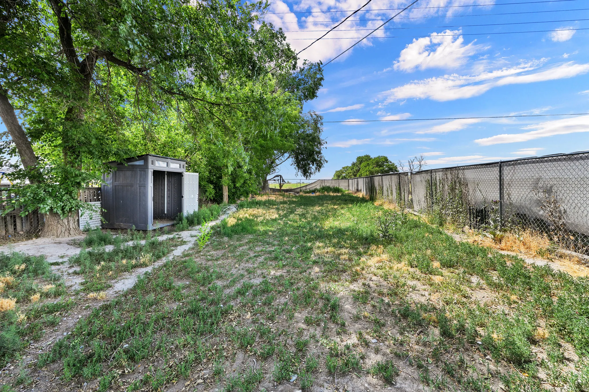 Expansive outdoor space featuring a utilitarian shed, mature trees, and a chain-link fence