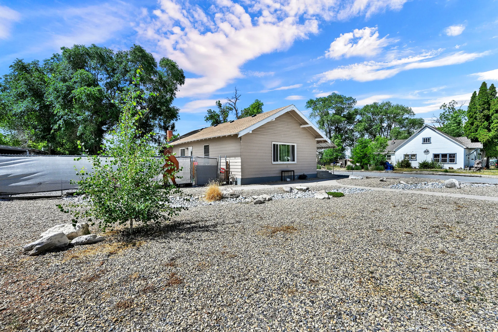 Low-maintenance gravel landscaping with a young deciduous tree and decorative boulders