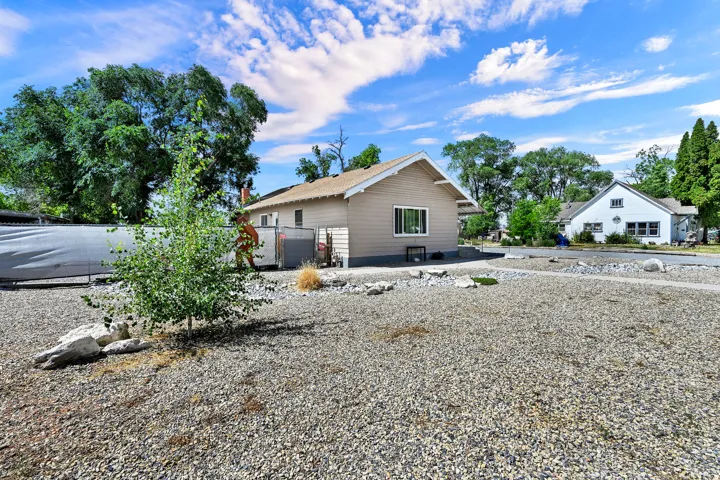 Low-maintenance gravel landscaping with a young deciduous tree and decorative boulders