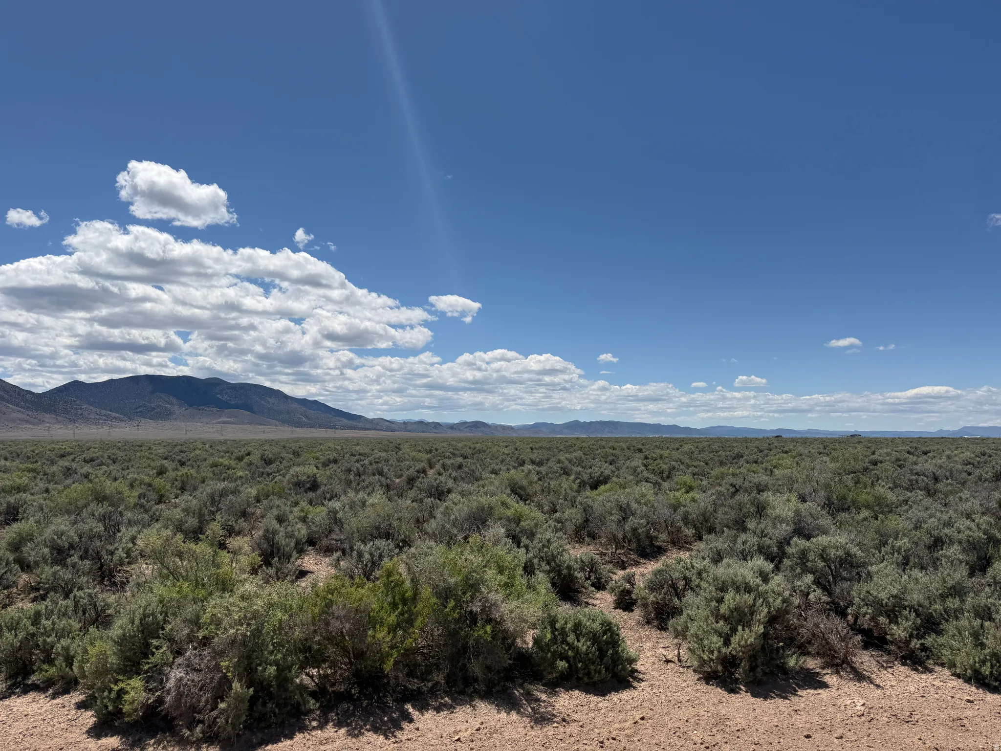 Expansive undeveloped land featuring natural desert vegetation