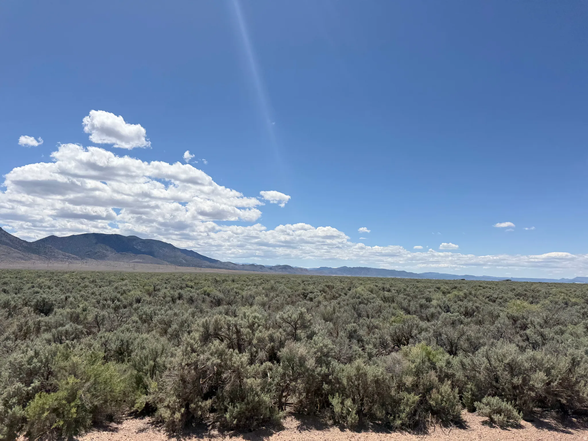 Expansive desert landscape featuring abundant sagebrush and distant mountain ranges under a clear blue sky