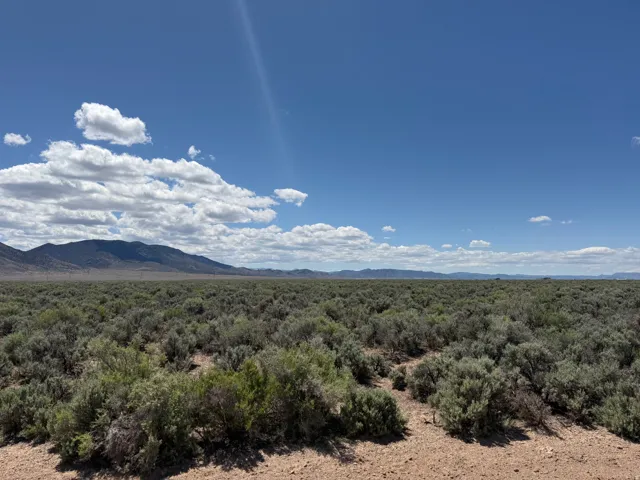 Expansive undeveloped land featuring natural desert vegetation