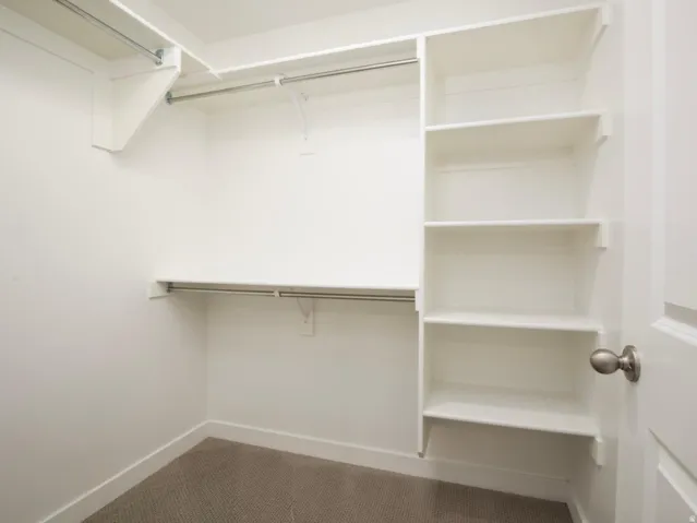 Walk-in closet featuring built-in shelving, multiple hanging rods, and neutral-toned carpeting