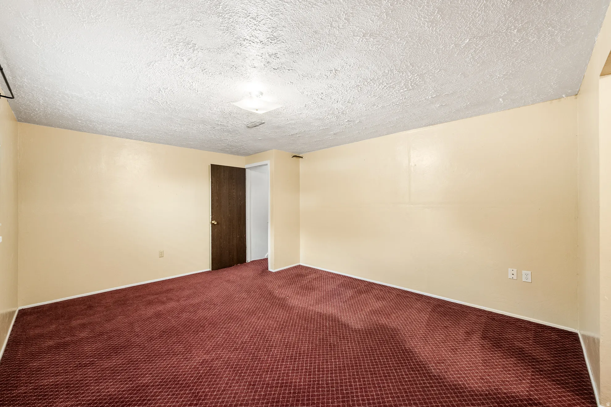 Spacious room featuring textured carpeting, neutral wall finishes, and a dark wood-finish door with a chrome knob