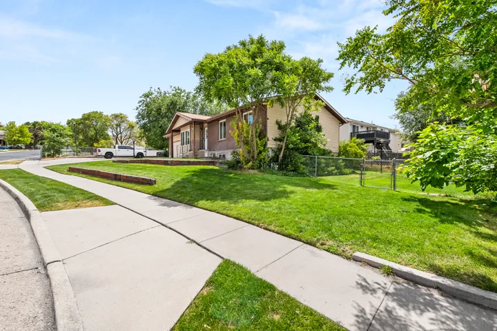 Expansive front yard featuring a manicured lawn, mature trees, and a concrete pathway