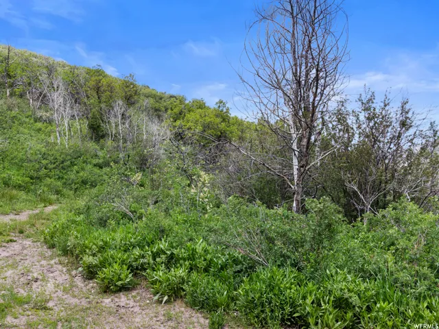 4912 S Rhoades Dr, Kamas, Utah 84036