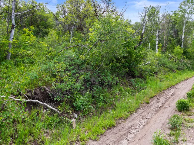 4912 S Rhoades Dr, Kamas, Utah 84036