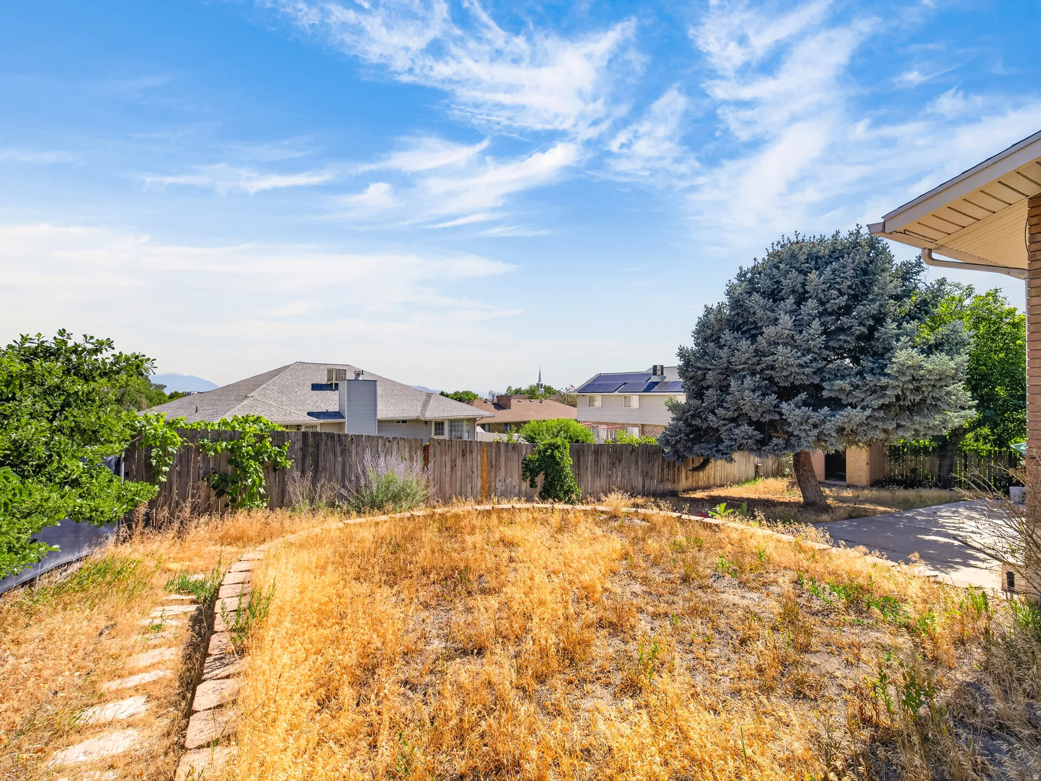 Sloping backyard featuring natural landscaping, a mature evergreen tree, and a stone-lined pathway
