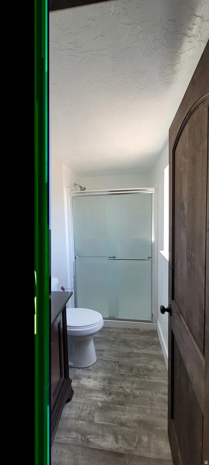 Bathroom featuring a frosted glass shower enclosure with chrome hardware, wood-finish flooring, a white toilet, and a dark wood vanity