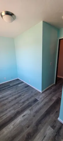 Room featuring wood-finish flooring, light blue walls, white baseboards, and a flush-mount ceiling light