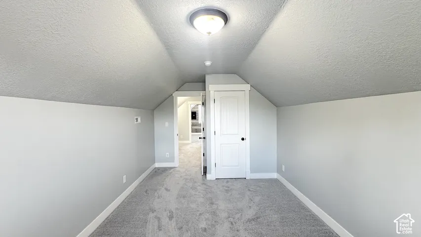 Bedroom with new carpet, large room, light gray wall paint, white trim, a flush mount ceiling light, and a paneled door