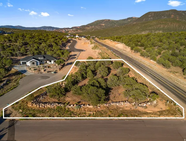 Expansive parcel featuring mature trees, a natural rock retaining wall, and a paved road frontage