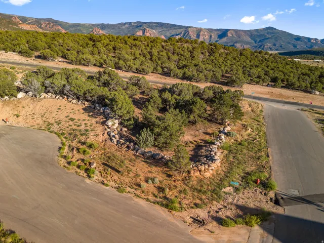 Expansive lot featuring natural landscaping, mature trees, and mountainous terrain in the background