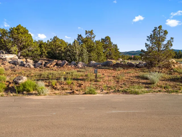 Undeveloped parcel featuring natural ground cover, mature trees, and a distant mountainous horizon under a clear sky