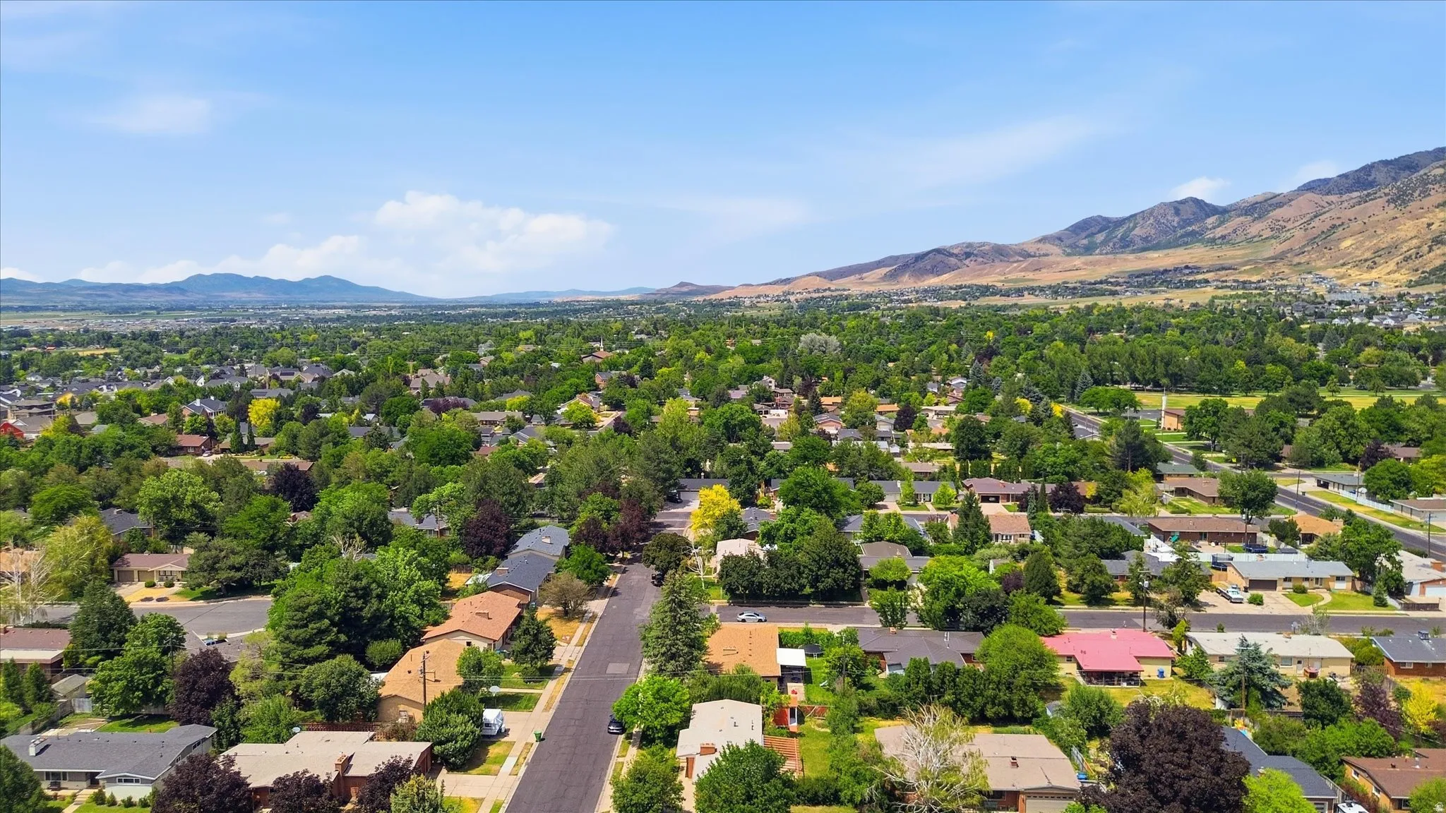 Expansive aerial perspective showcasing a residential neighborhood with mature tree coverage, clear skies, and distant mountain ranges