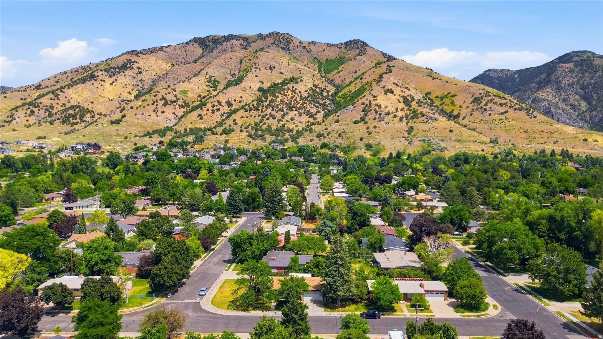 Residential area featuring mature trees and mountain scenery