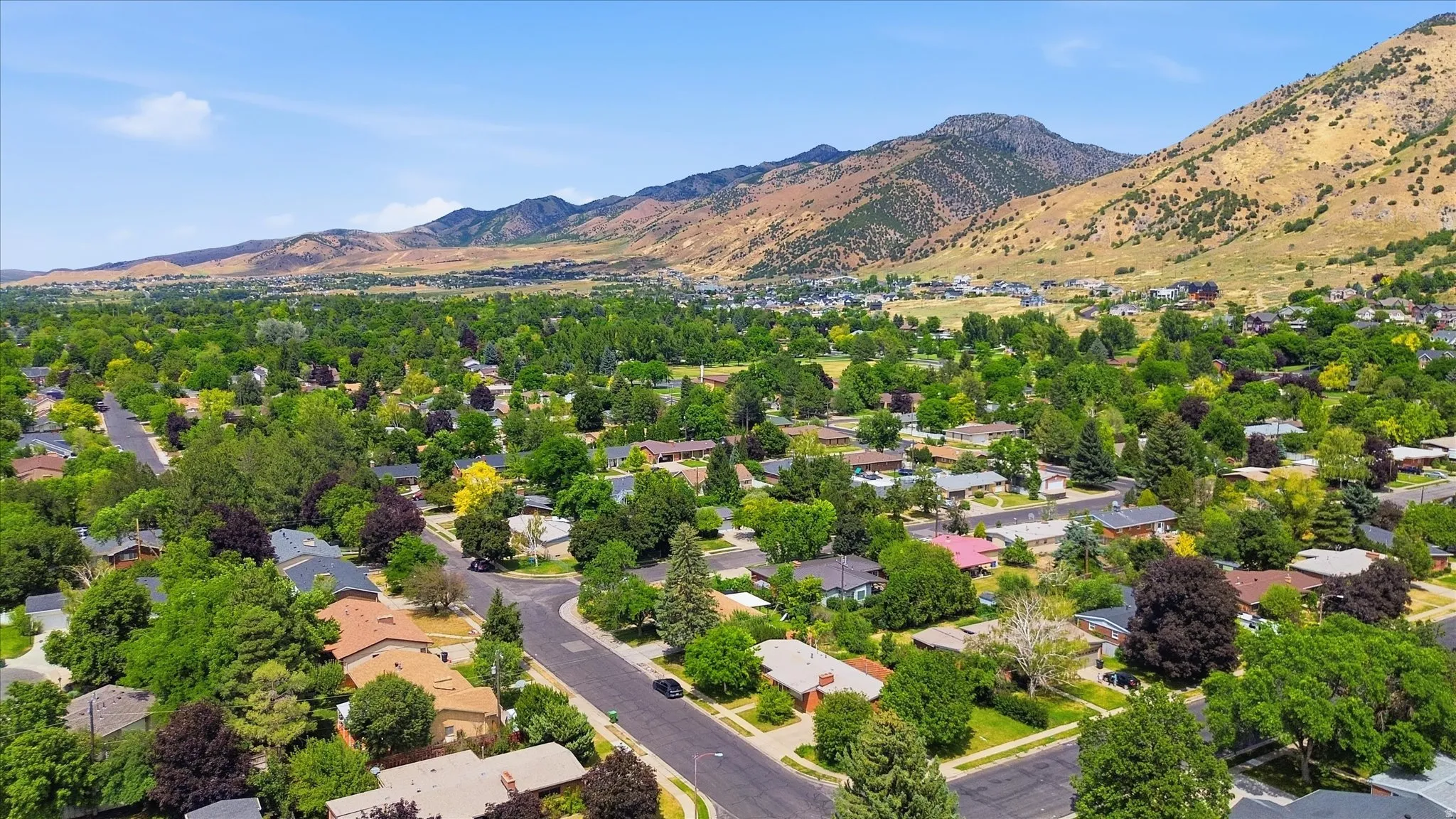 Expansive residential area featuring established homes, mature trees, and paved streets