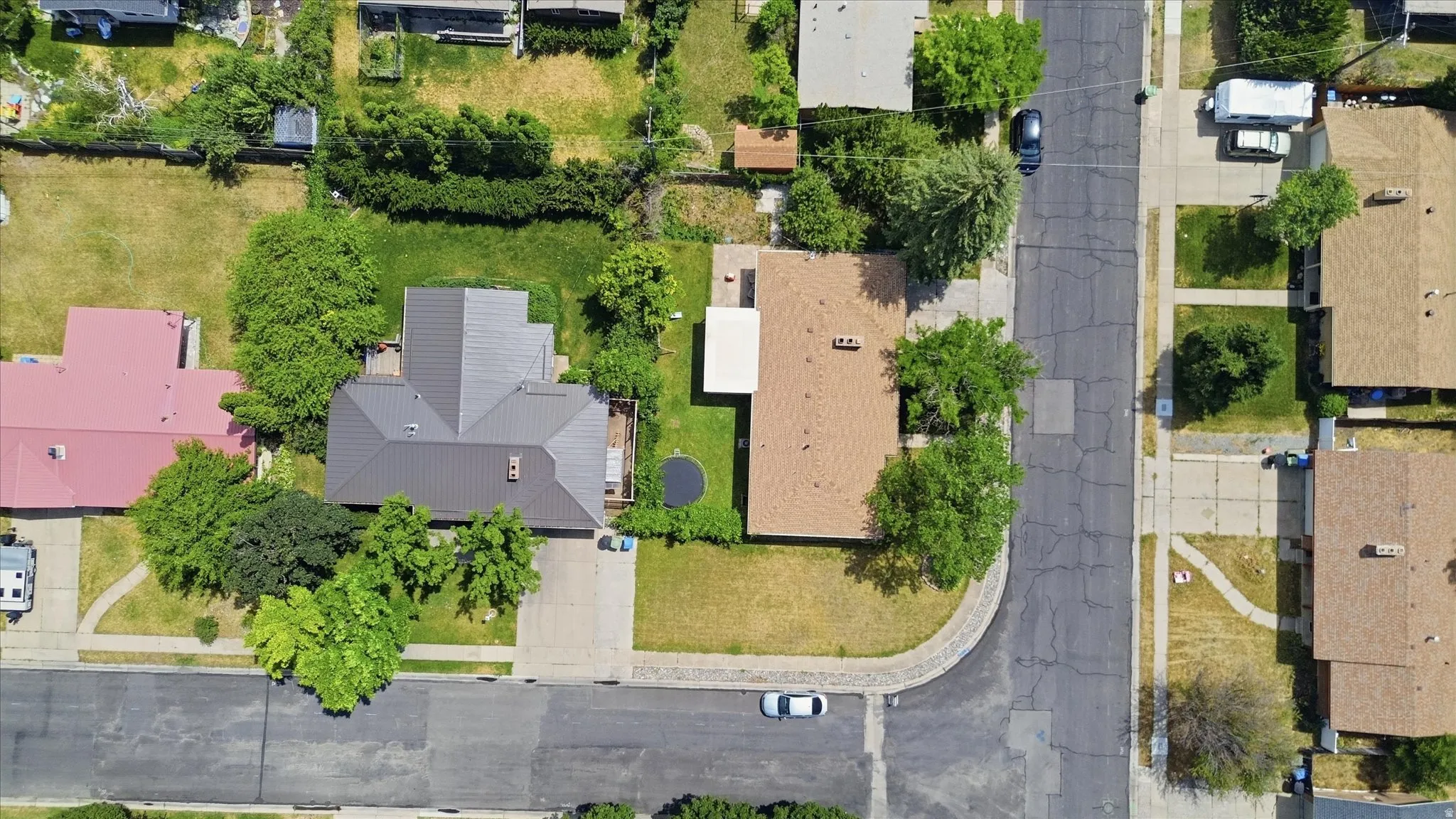 Residential property featuring a dark metal roof, a paved driveway, and mature landscaping