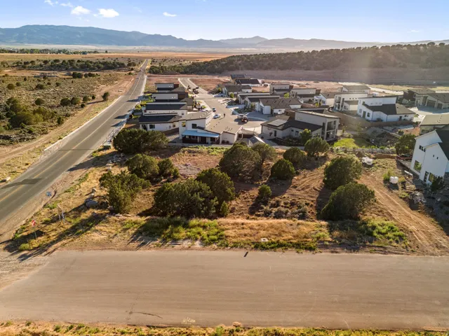 Expansive parcel featuring a paved road frontage, mature trees, and natural desert landscaping, surrounded by developed residential properties