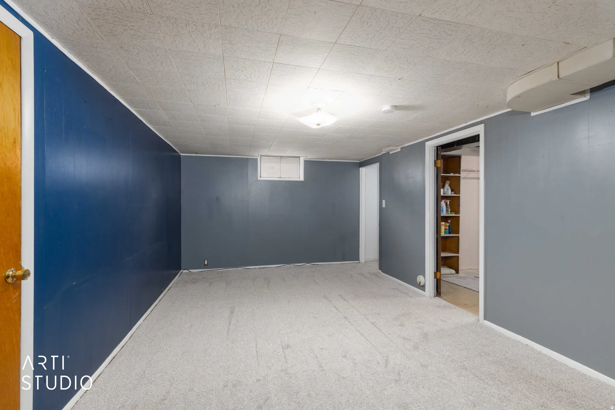 Carpeted room featuring a ceiling-mounted light fixture, panel walls, and a visible doorway with built-in shelving