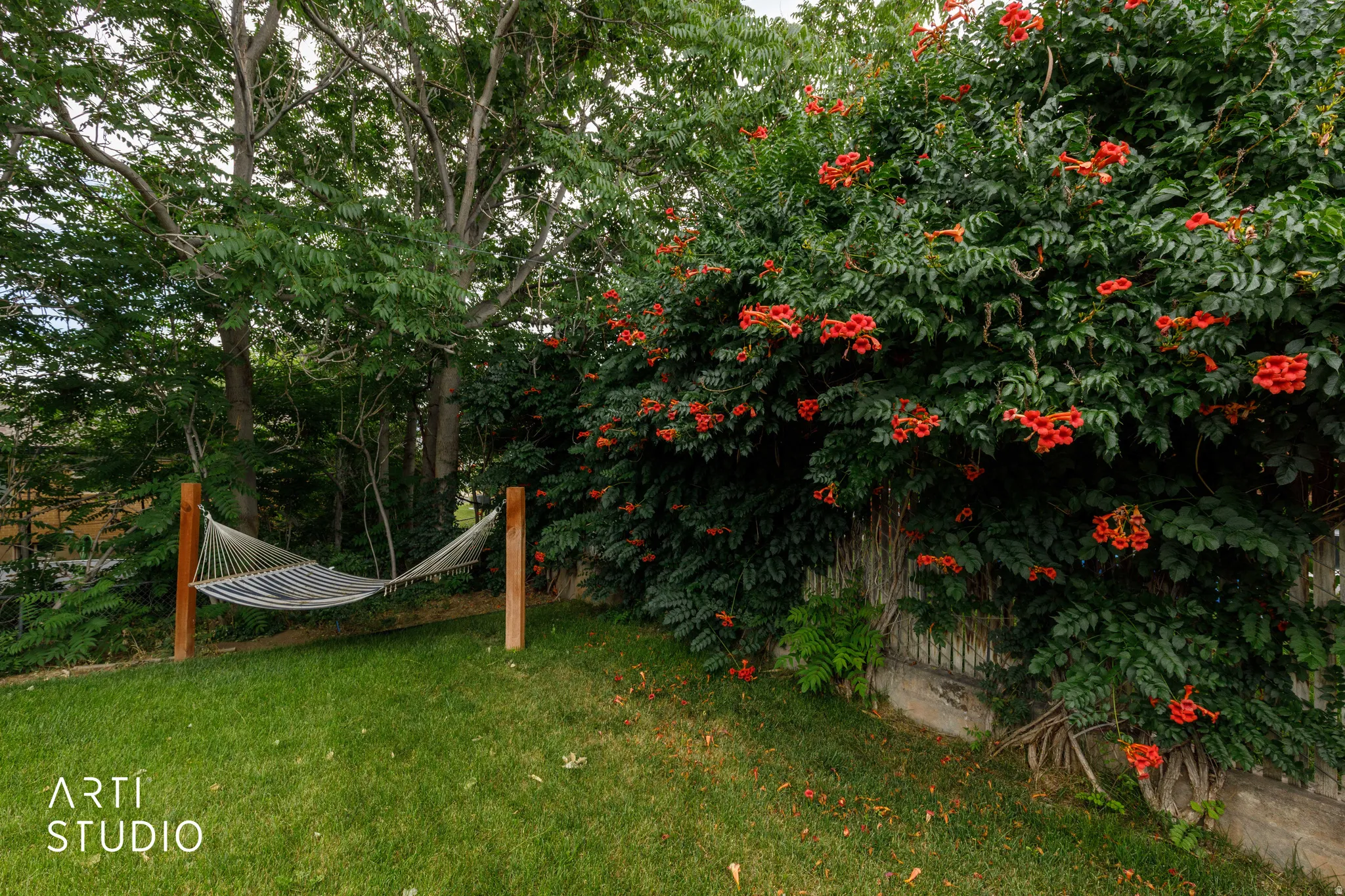 Manicured lawn with mature trees and vibrant flowering shrubs