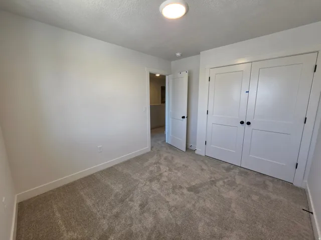 Carpeted room featuring a double-door closet with black hardware, white trim, and a flush mount ceiling light