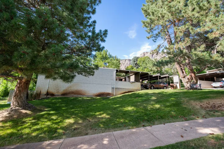 Expansive green lawn with mature evergreen trees and a paved sidewalk