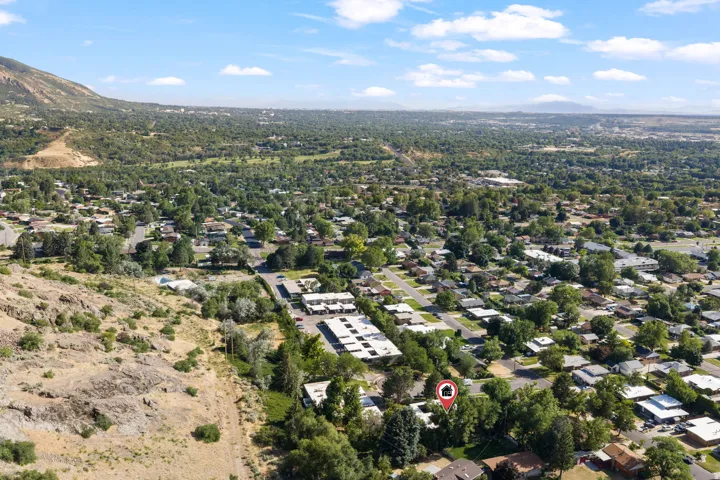 Expansive aerial showcasing a residential neighborhood with abundant mature trees and varied architectural styles