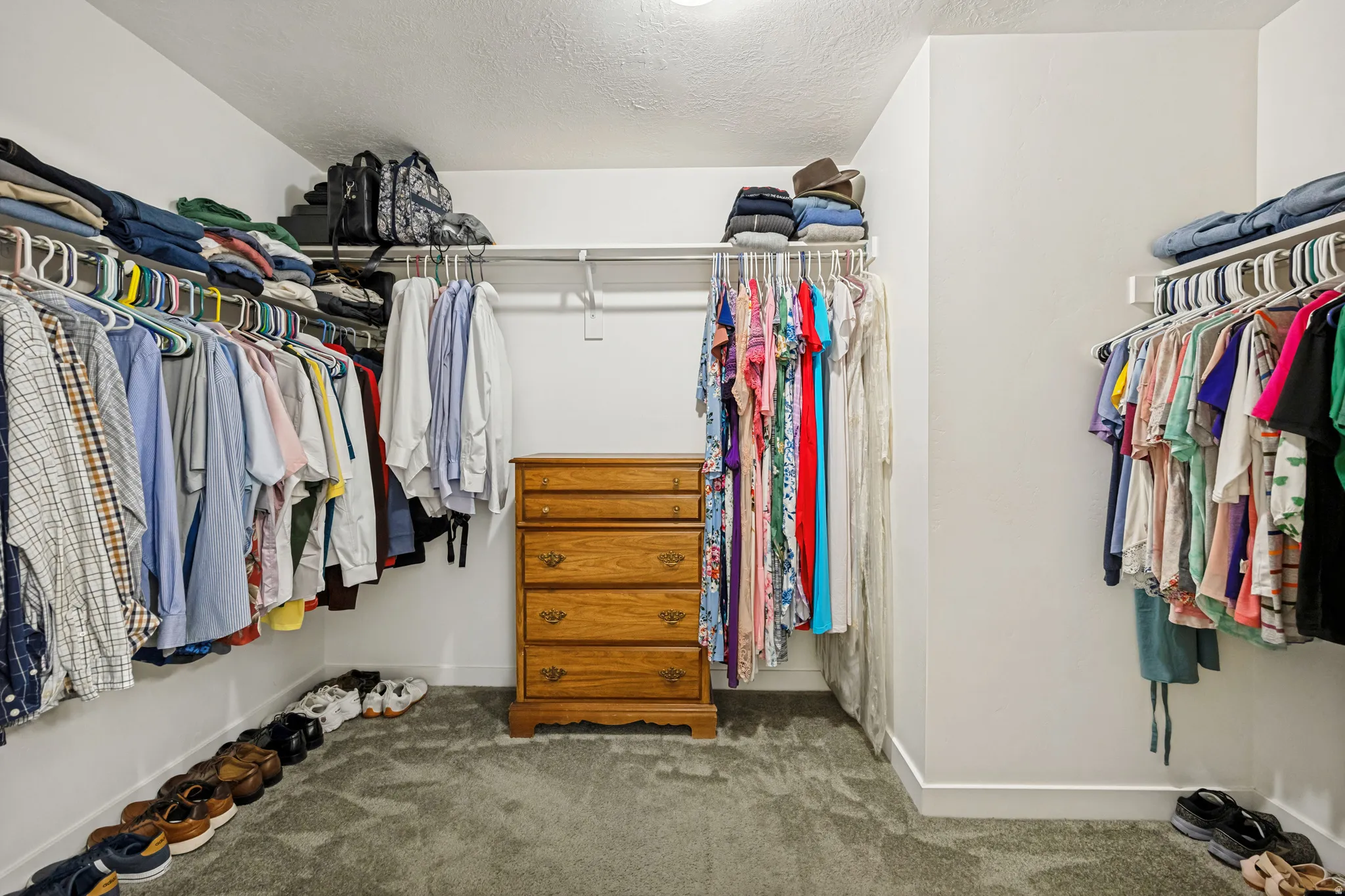Walk-in closet featuring built-in shelving, hanging rods, light gray carpeting, and white walls