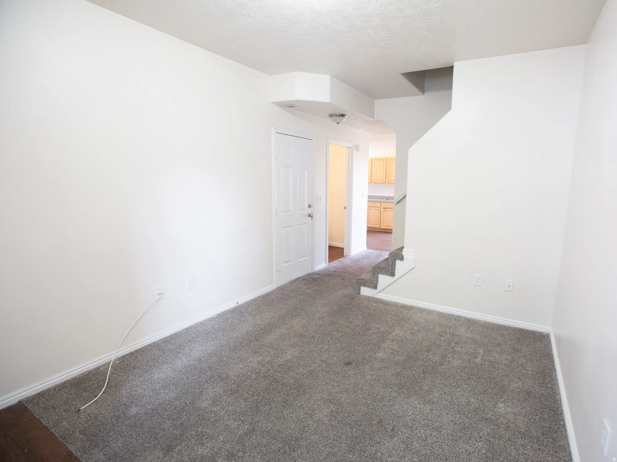 Spacious interior featuring a neutral color palette, grey carpeting, white trim, and a clear entryway leading to other areas of the property