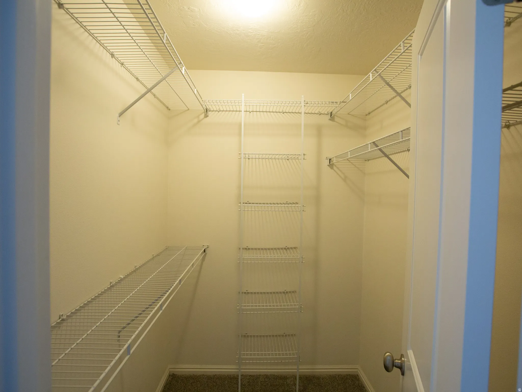 Walk-in closet featuring built-in wire shelving, wire hanging rods, and neutral-toned carpeting