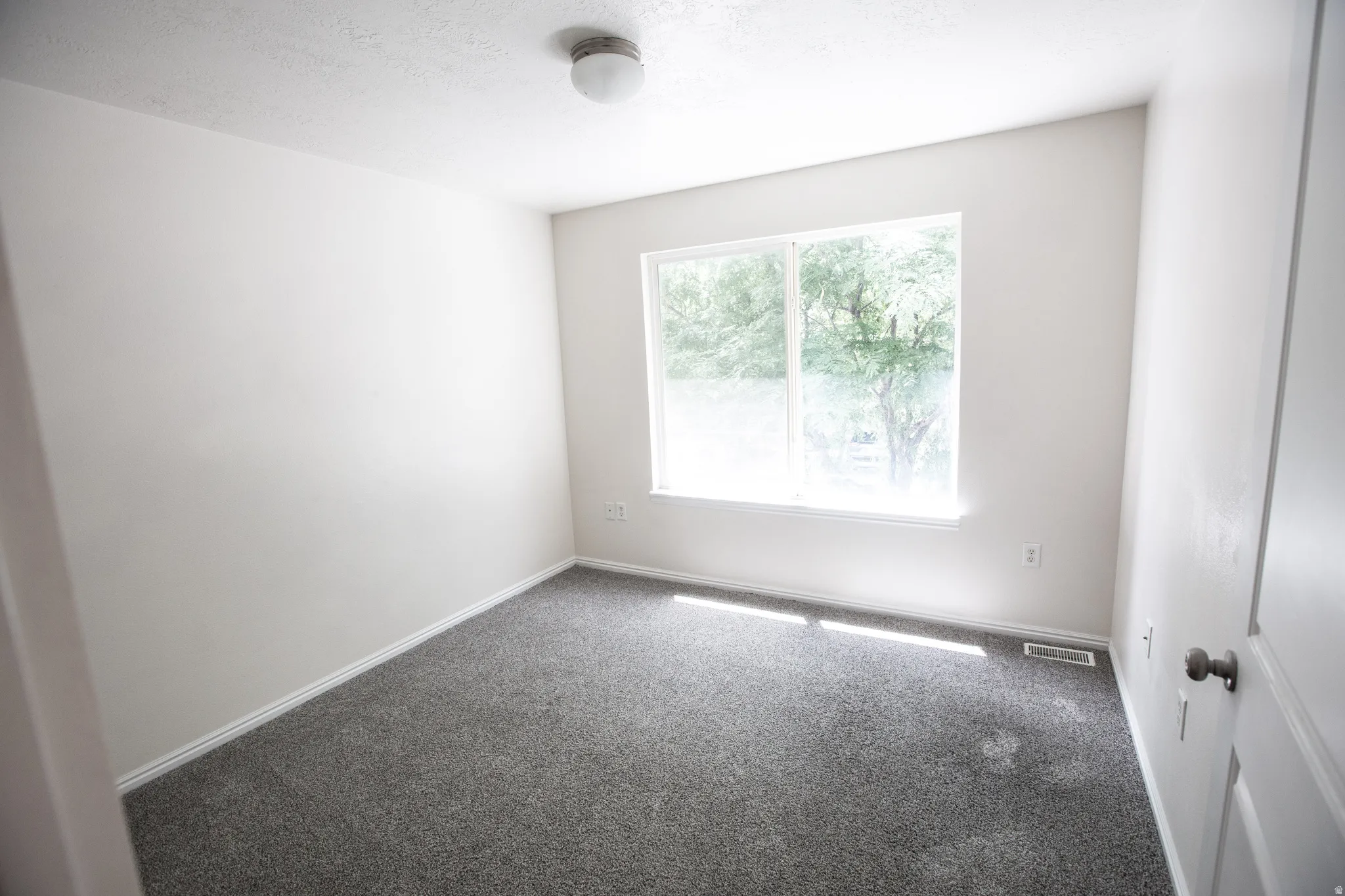 Bright room featuring a large window, neutral painted walls, and gray carpeting