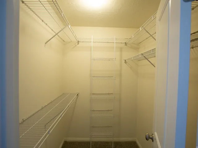 Walk-in closet featuring built-in wire shelving, wire hanging rods, and neutral-toned carpeting