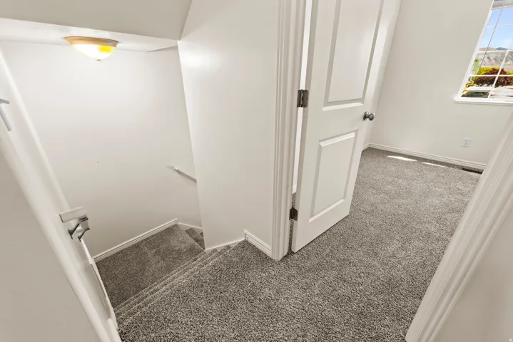 Carpeted staircase with white handrails and a flush-mount ceiling light fixture