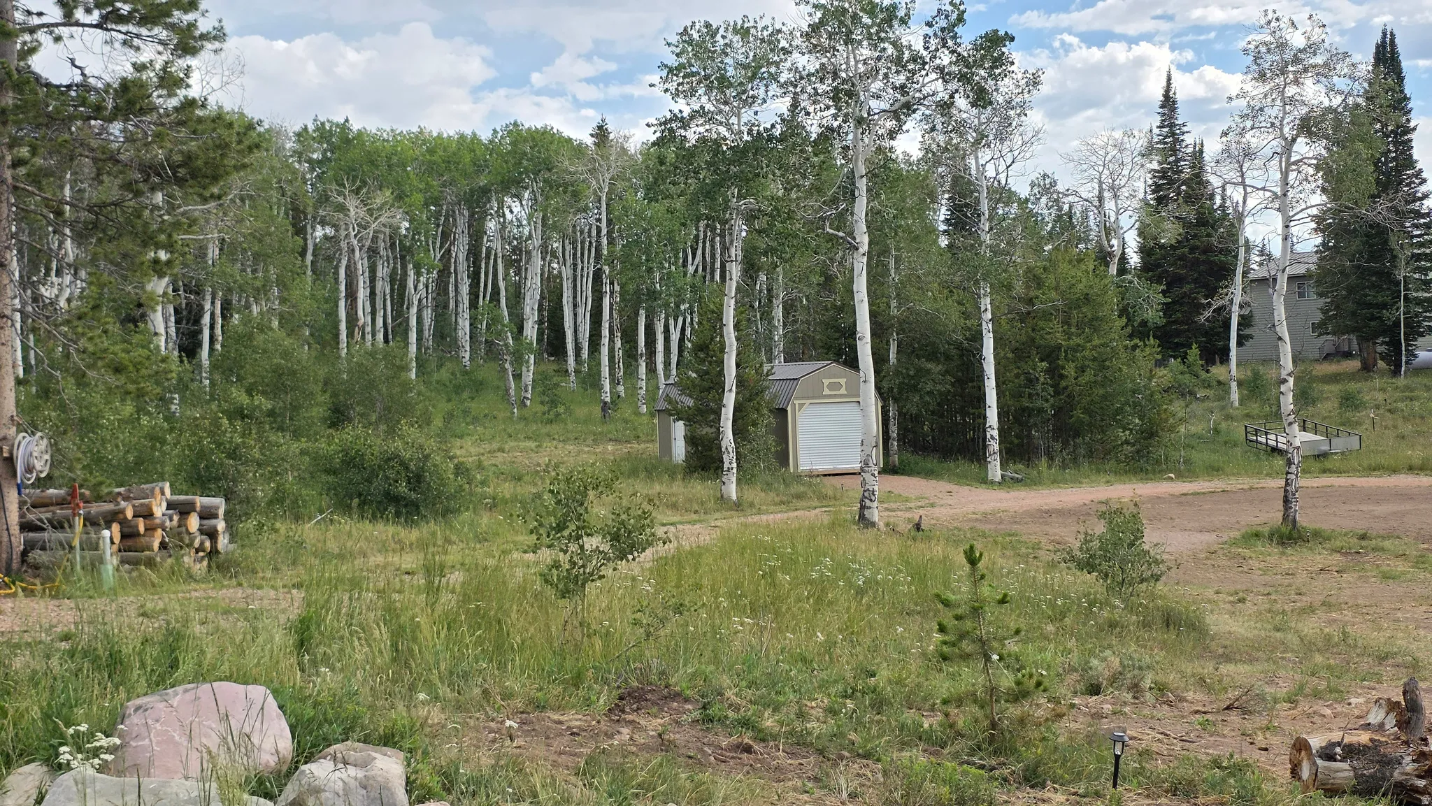 Expansive natural landscape with varied mature trees, including a prominent aspen grove