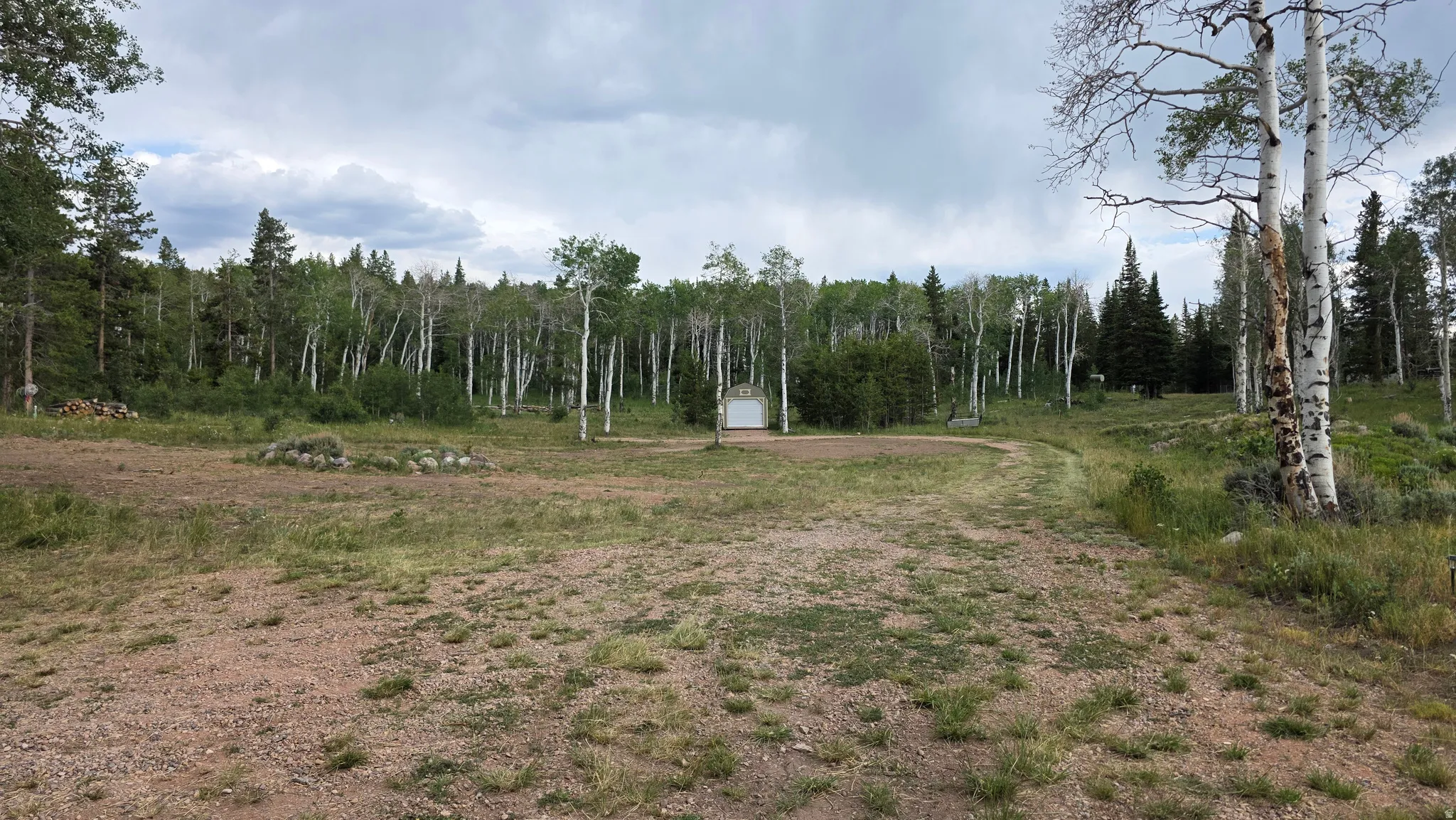 Expansive lot featuring mature trees, a natural landscape, and a partially graveled area