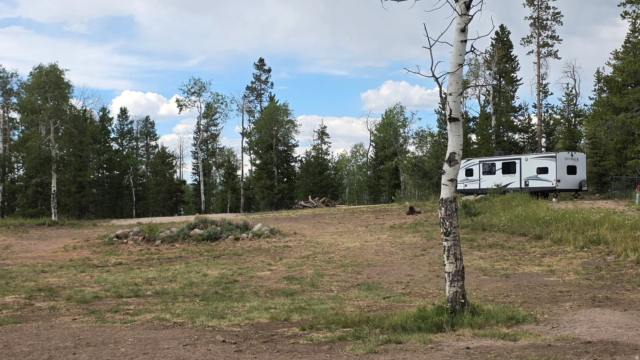 Spacious undeveloped land featuring natural grass, mature evergreen trees, and scattered deciduous trees