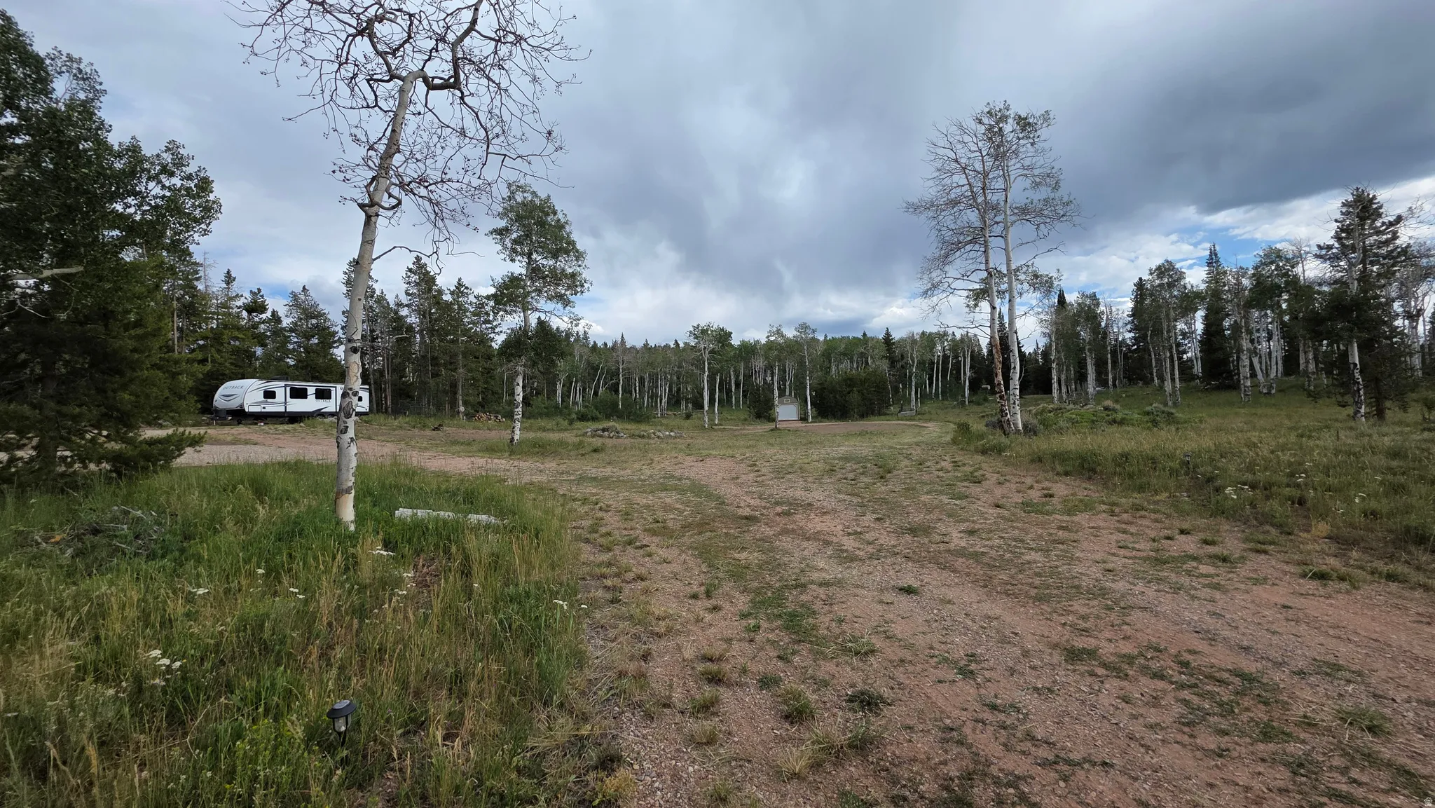 Spacious natural landscape featuring extensive tree coverage, a natural ground surface, and varying elevations