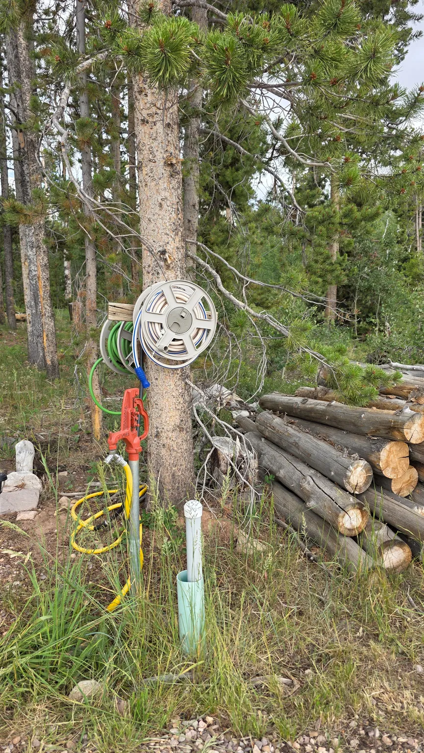 Wooded property featuring mature evergreen trees and a stack of cut timber