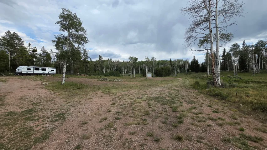 Spacious open lot featuring mature trees and a natural, unpaved surface