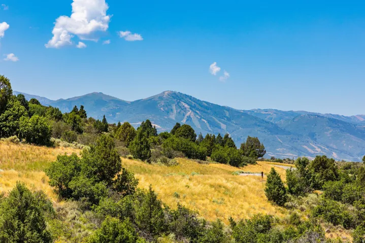 5725 E Rock Chuck Dr, Heber City, Utah 84032