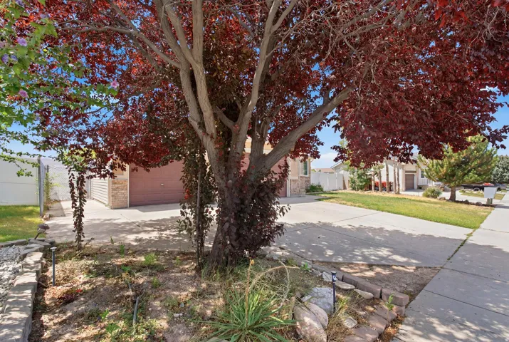 Mature tree with vibrant red foliage providing natural shade, concrete driveway, stone veneer siding, tan garage door, and a partially landscaped front yard