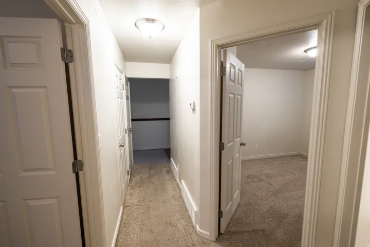Hallway with textured carpeting, flush-mount ceiling lighting, and panel doors