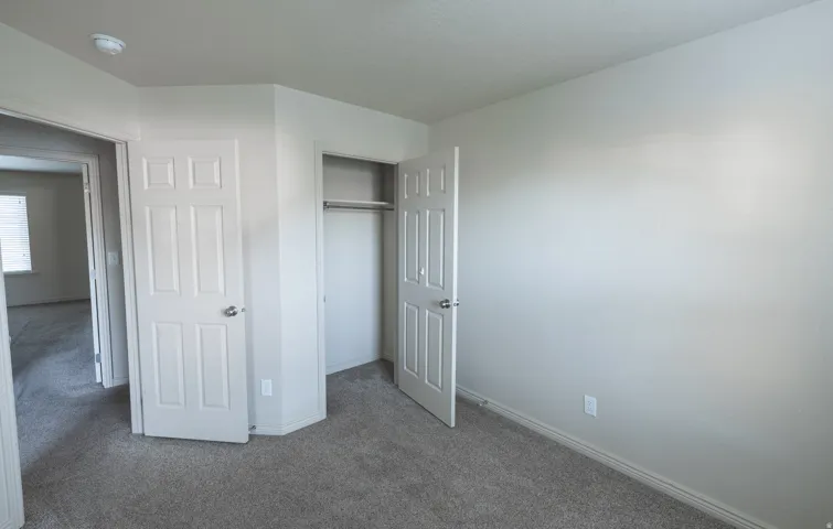 Neutral wall paint, plush carpet flooring, paneled interior doors, and a built-in closet with hanging rod