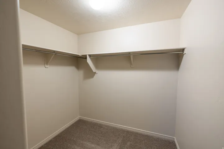 Wall-mounted shelving with hanging rods and neutral carpeting