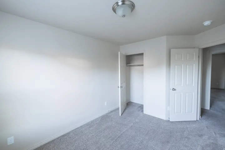 Gray carpet flooring, white painted walls, white trim, ceiling-mounted light fixture, and a built-in closet with shelving