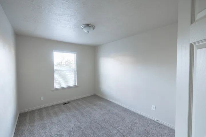 Recessed window with blinds, light gray carpet, neutral wall paint, and a ceiling-mounted light fixture