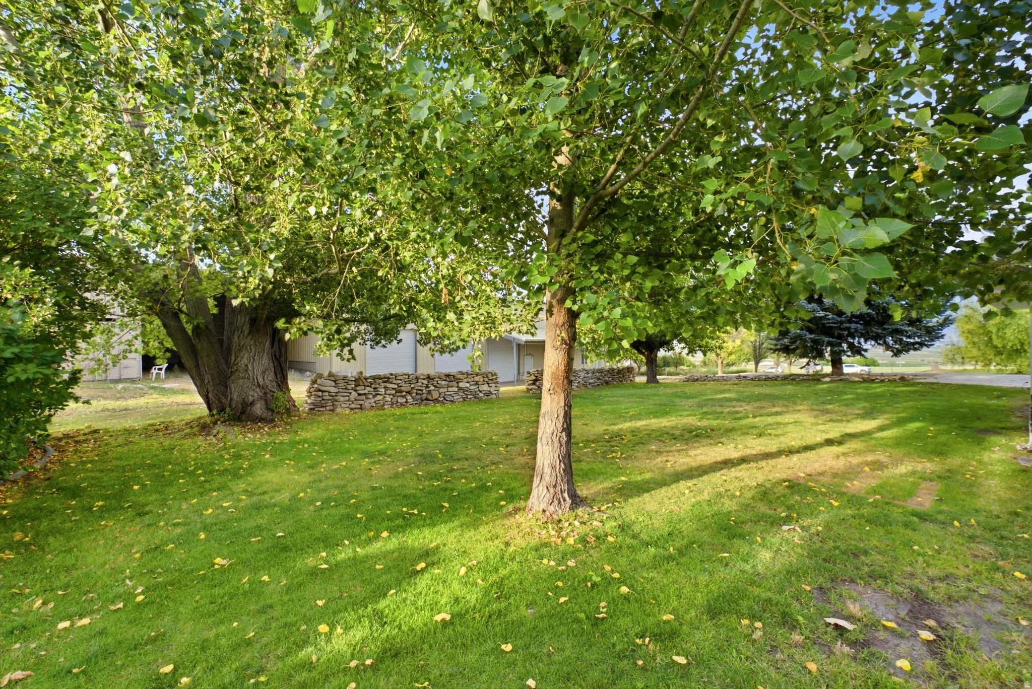 Expansive green lawn featuring mature trees