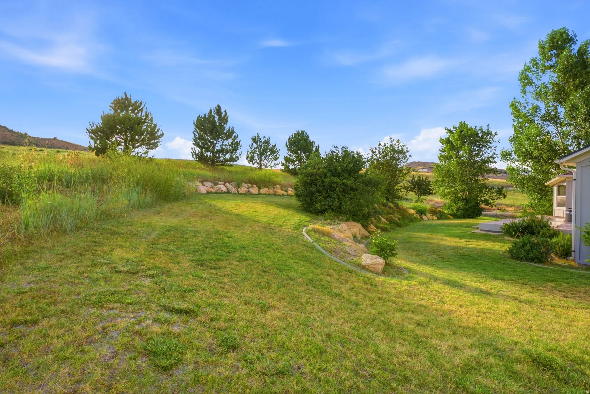 Expansive grassy yard with varied terrain and mature trees
